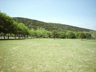 Field along the entrance road